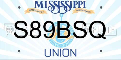 S89BSQ Mississippi License Plate