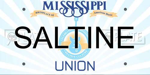 SALTINE Mississippi License Plate