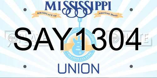 SAY1304 Mississippi License Plate