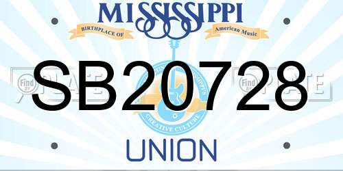 SB20728 Mississippi License Plate