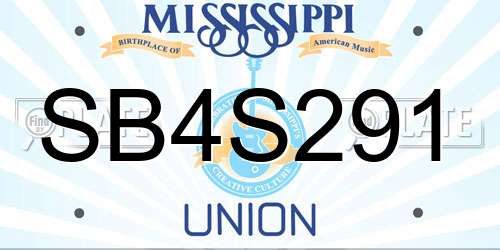 SB4S291 Mississippi License Plate