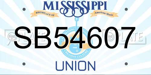 SB54607 Mississippi License Plate