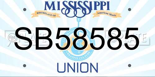 SB58585 Mississippi License Plate