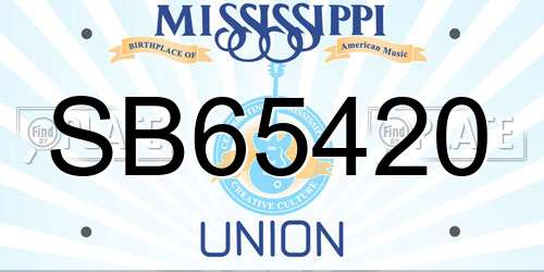 SB65420 Mississippi License Plate