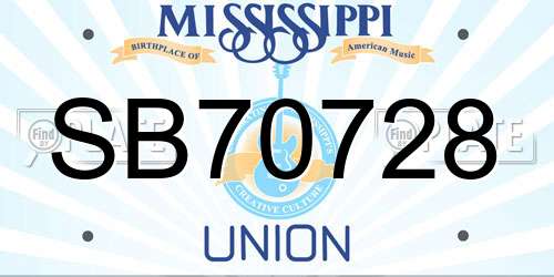 SB70728 Mississippi License Plate