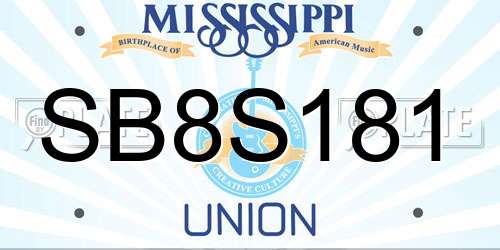 SB8S181 Mississippi License Plate