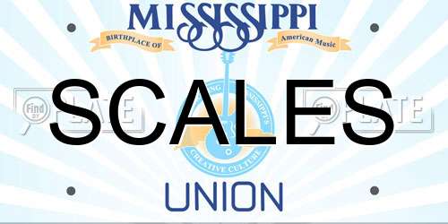 SCALES Mississippi License Plate