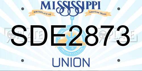 SDE2873 Mississippi License Plate