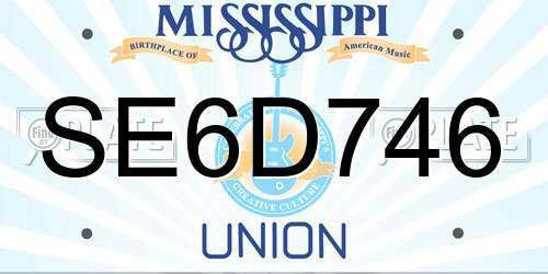 SE6D746 Mississippi License Plate