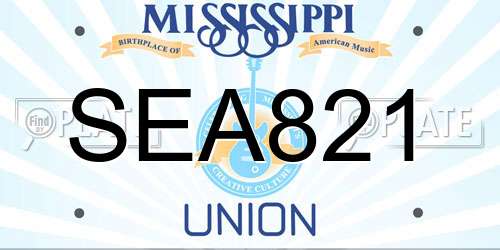 SEA821 Mississippi License Plate