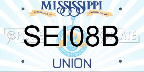 SEI08B Mississippi License Plate