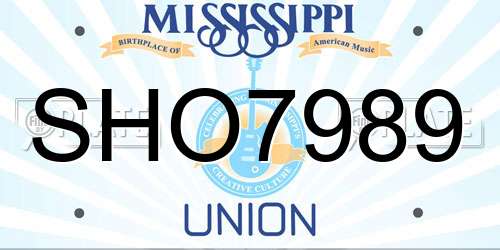 SHO7989 Mississippi License Plate