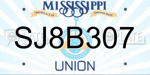 SJ8B307 Mississippi License Plate