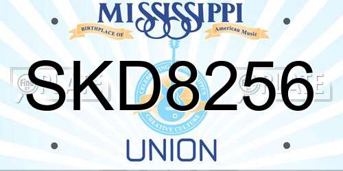 SKD8256 Mississippi License Plate