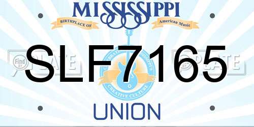 SLF7165 Mississippi License Plate