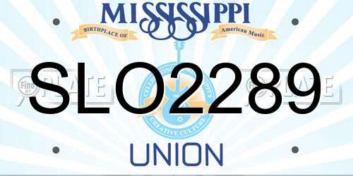 SLO2289 Mississippi License Plate