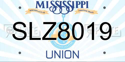 SLZ8019 Mississippi License Plate