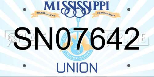 SN07642 Mississippi License Plate