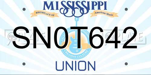 SN0T642 Mississippi License Plate