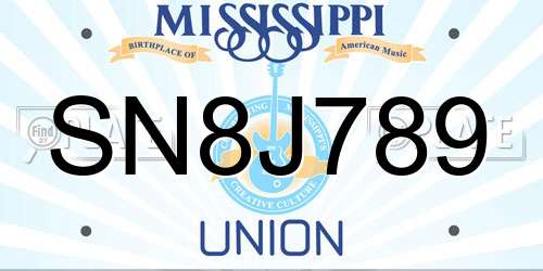 SN8J789 Mississippi License Plate