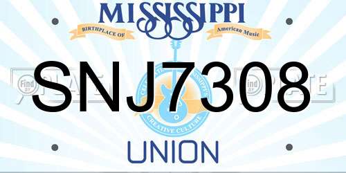 SNJ7308 Mississippi License Plate