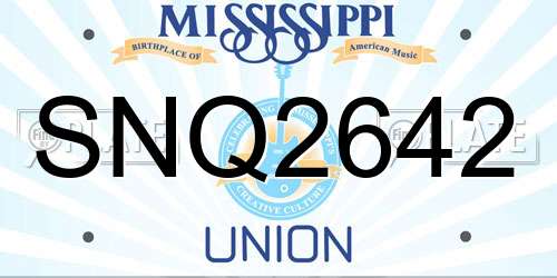 SNQ2642 Mississippi License Plate