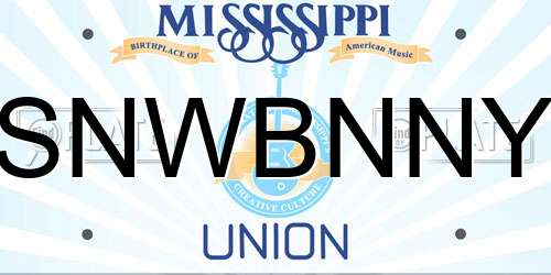 SNWBNNY Mississippi License Plate