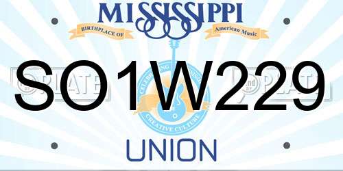SO1W229 Mississippi License Plate