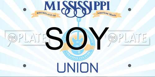 SOY Mississippi License Plate
