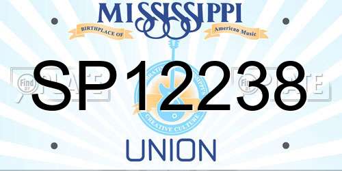 SP12238 Mississippi License Plate