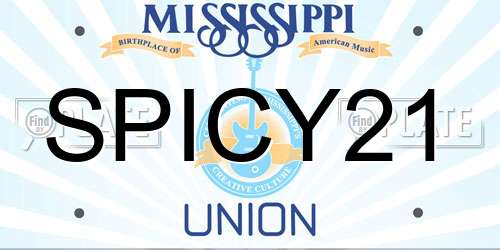 SPICY21 Mississippi License Plate