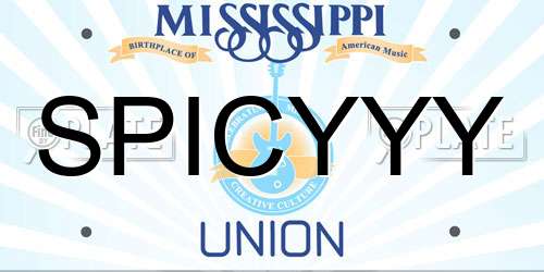 SPICYYY Mississippi License Plate
