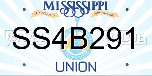 SS4B291 Mississippi License Plate