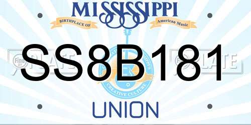 SS8B181 Mississippi License Plate