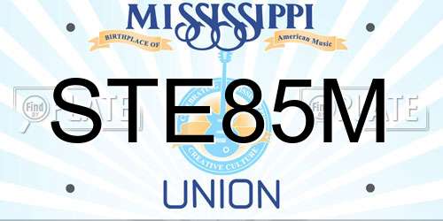 STE85M Mississippi License Plate