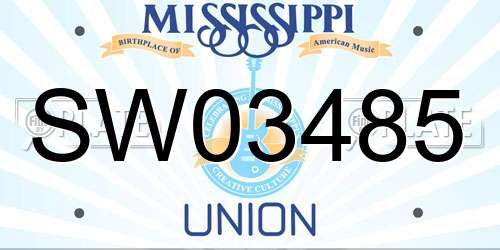 SW03485 Mississippi License Plate
