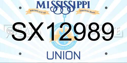 SX12989 Mississippi License Plate