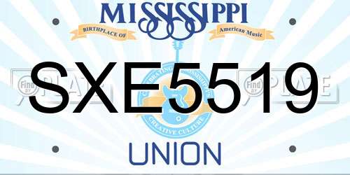 SXE5519 Mississippi License Plate