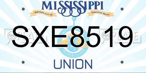 SXE8519 Mississippi License Plate