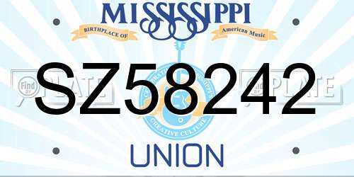 SZ58242 Mississippi License Plate