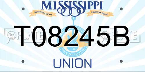 T08245B Mississippi License Plate