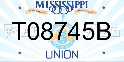 T08745B Mississippi License Plate
