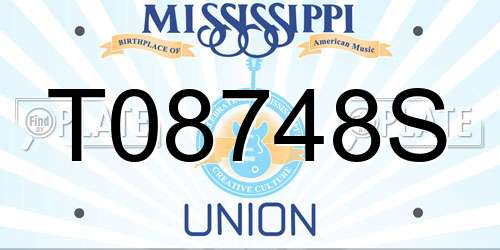 T08748S Mississippi License Plate