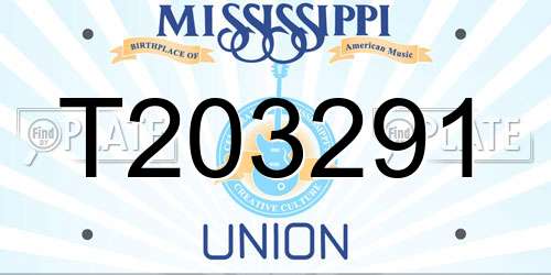 T203291 Mississippi License Plate