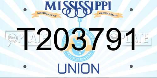 T203791 Mississippi License Plate