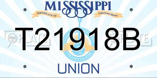 T21918B Mississippi License Plate