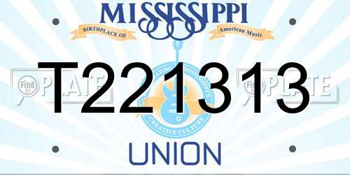T221313 Mississippi License Plate
