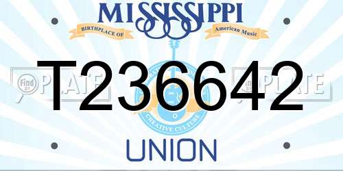 T236642 Mississippi License Plate