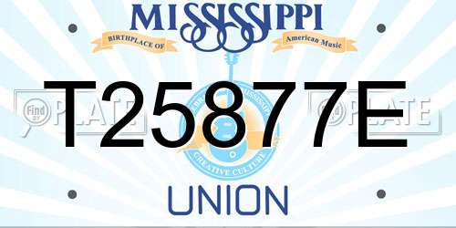 T25877E Mississippi License Plate