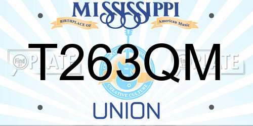 T263QM Mississippi License Plate